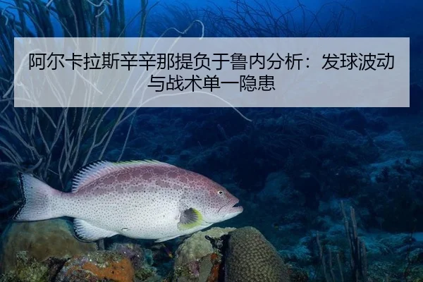 a-er-ka-la-si-xin-xin-na-ti-fu-yu-lu-nei-fen-xi-fa-qiu-bo-dong-yu-zhan-shu-dan-yi-yin-huan-2-822.jpg